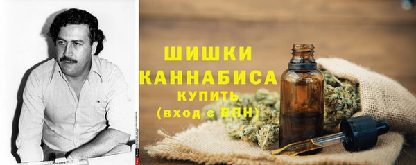 винт Белокуриха