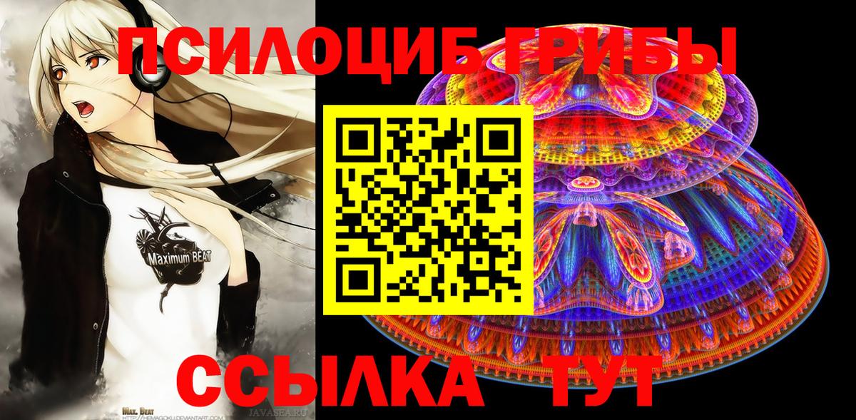 Псилоцибиновые грибы ЛСД Великий Устюг