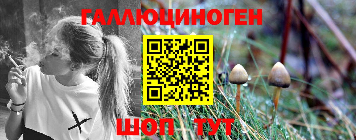 Великий Устюг  Псилоцибиновые грибы MAGIC MUSHROOMS  Вход с VPN 